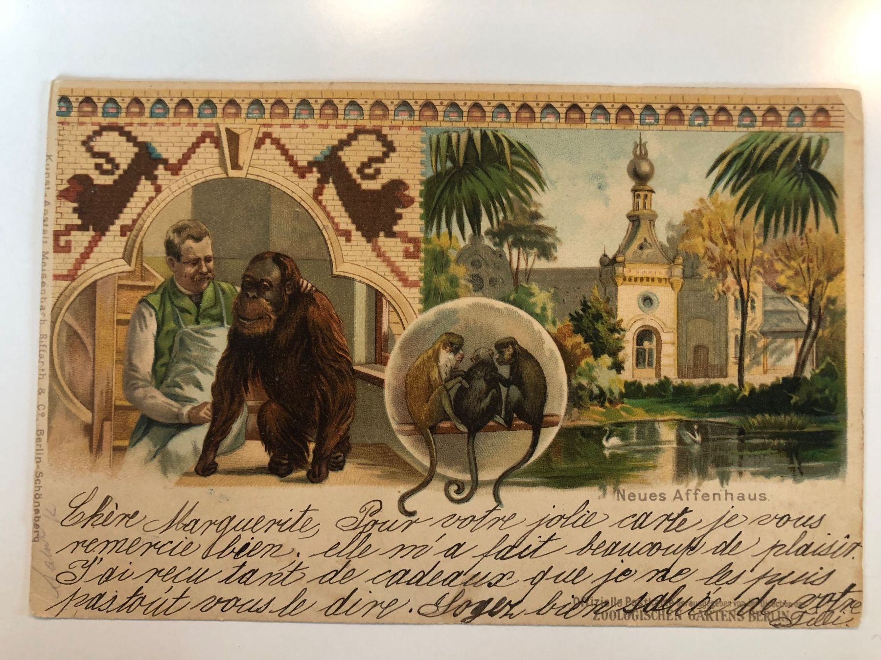 Cartoline postali: 3 antike Ansichtskarten BERLINER ZOO um 1900 – Usato da Lufingen venduto da Rac0