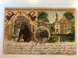 3 antike Ansichtskarten BERLINER ZOO um 1900
