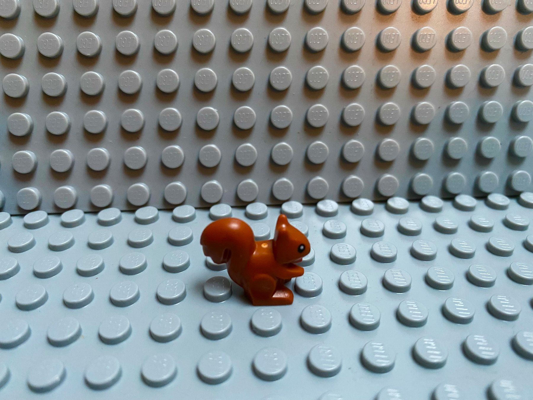 Lego Kit di costruzioni: Lego Tiere - Eichhörnchen – Nuovo (secondo la descrizione) da Horw venduto da G39517sG