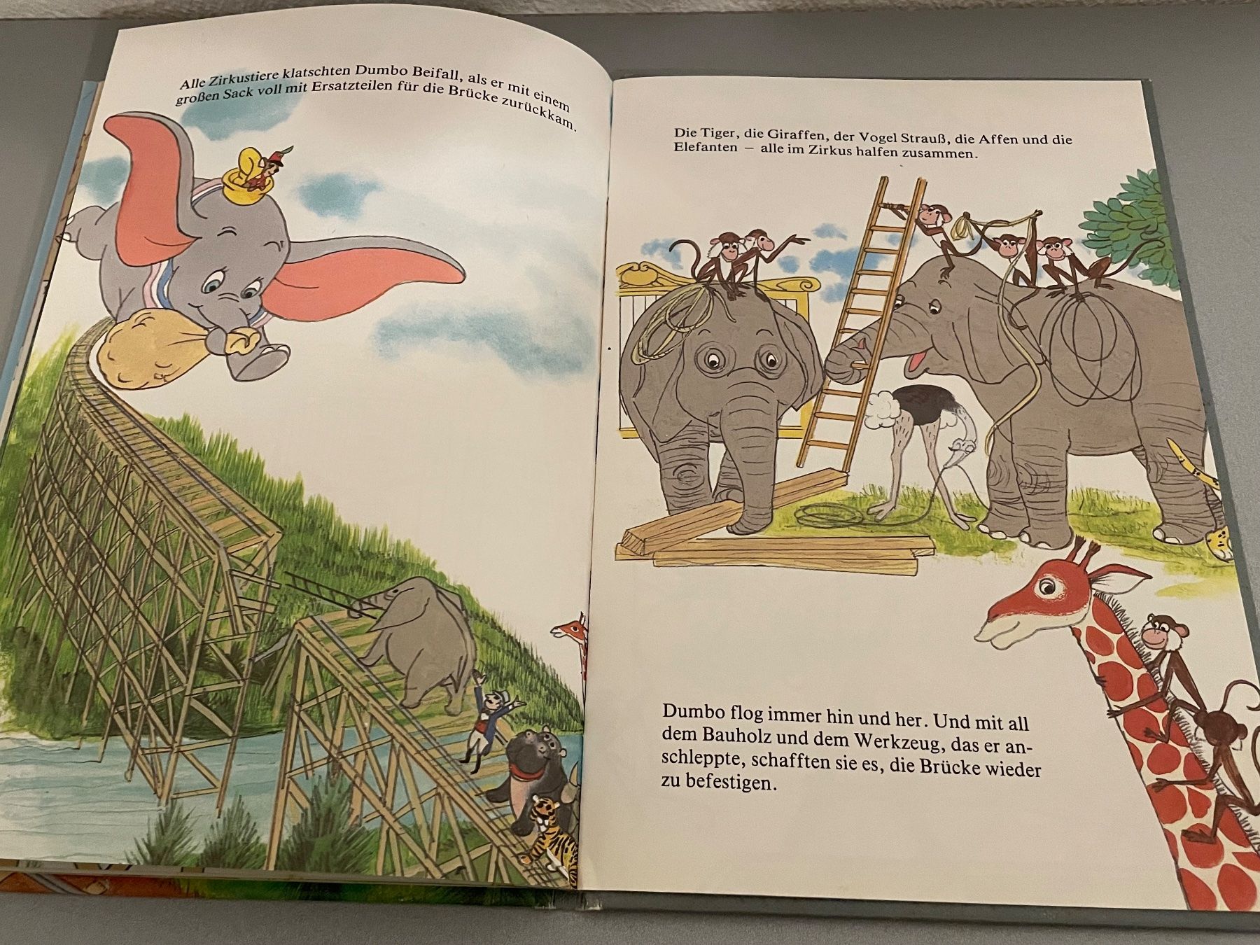 Libri: Disney bücher – Usato da Chur venduto da Tsambiko 2