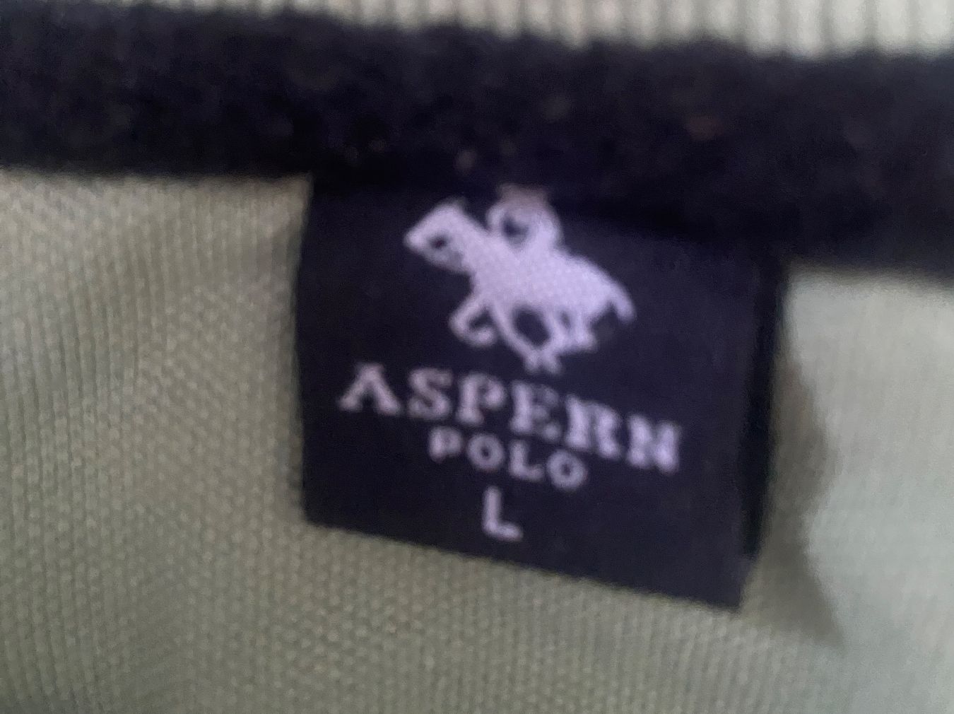 Magliette Polo: ASPERN Polo Shirt, Gr. L – Usato da Dielsdorf venduto da sissy04 1