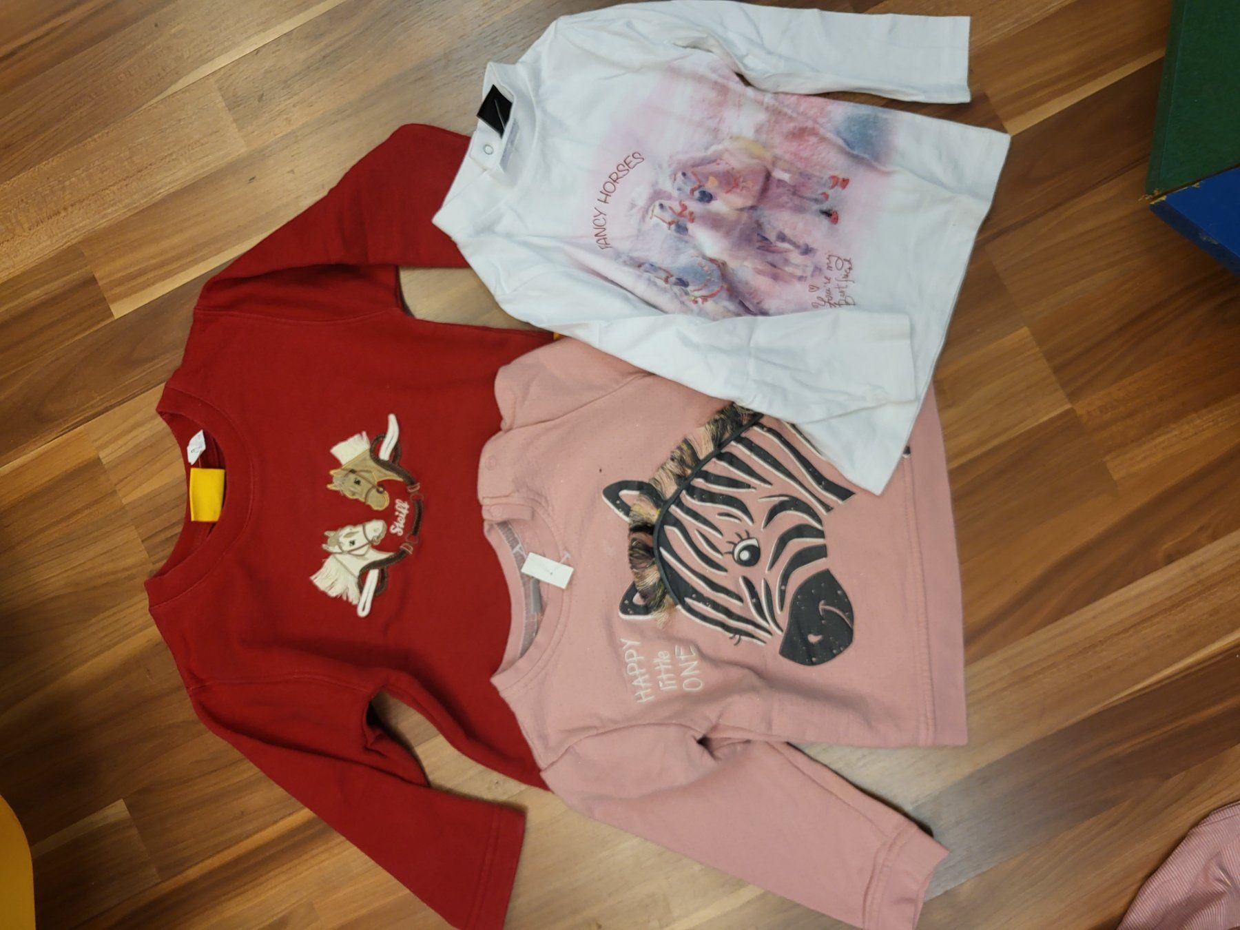 Maglioni & Felpe: 1 Pulloverset gr 92  nach Wahl B12a – Usato da Schwarzenburg venduto da flamingo1970 2