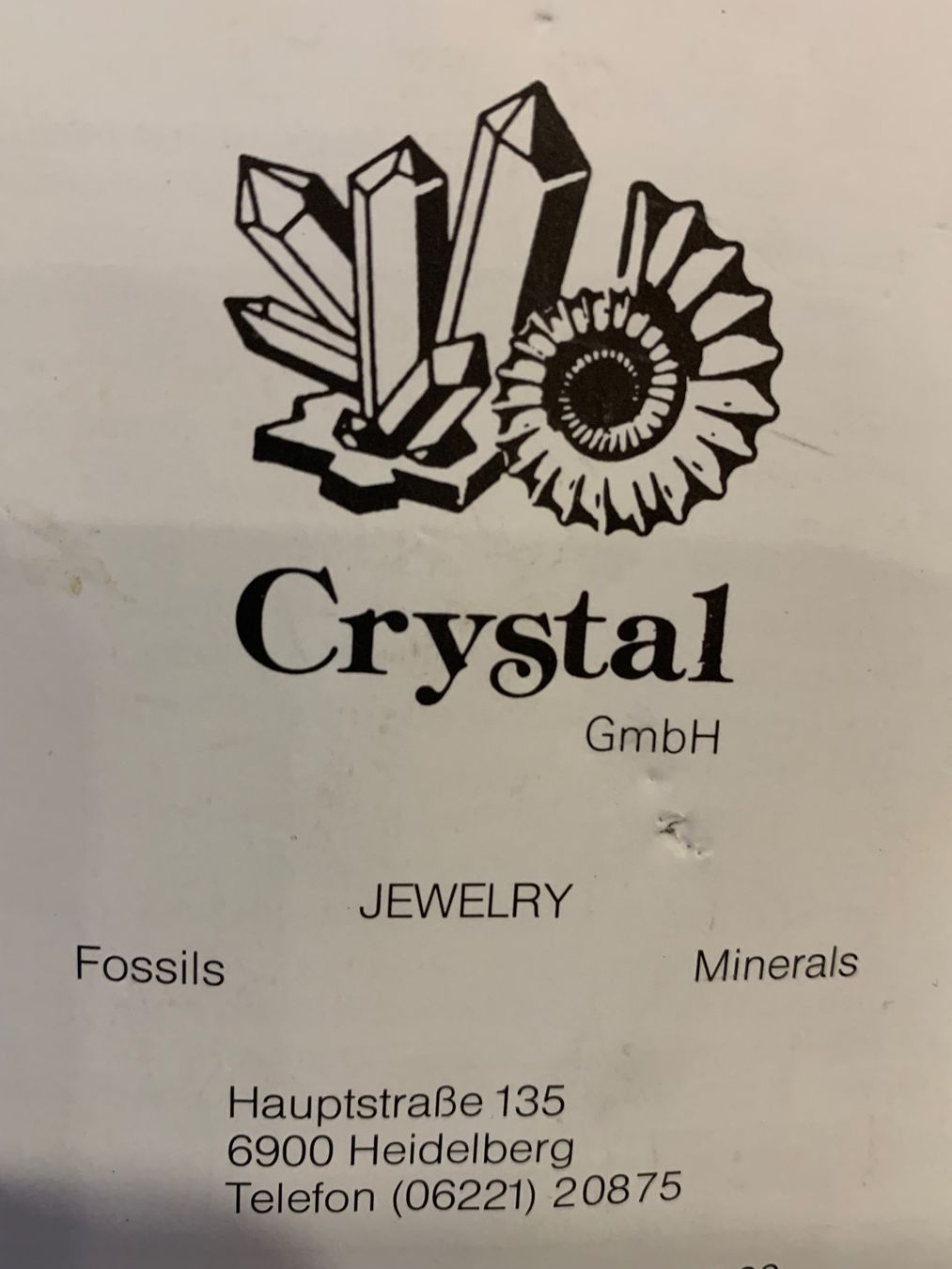 Fossili: Ammonit in Schiefer – Usato da Schwanden GL venduto da Cicala 4