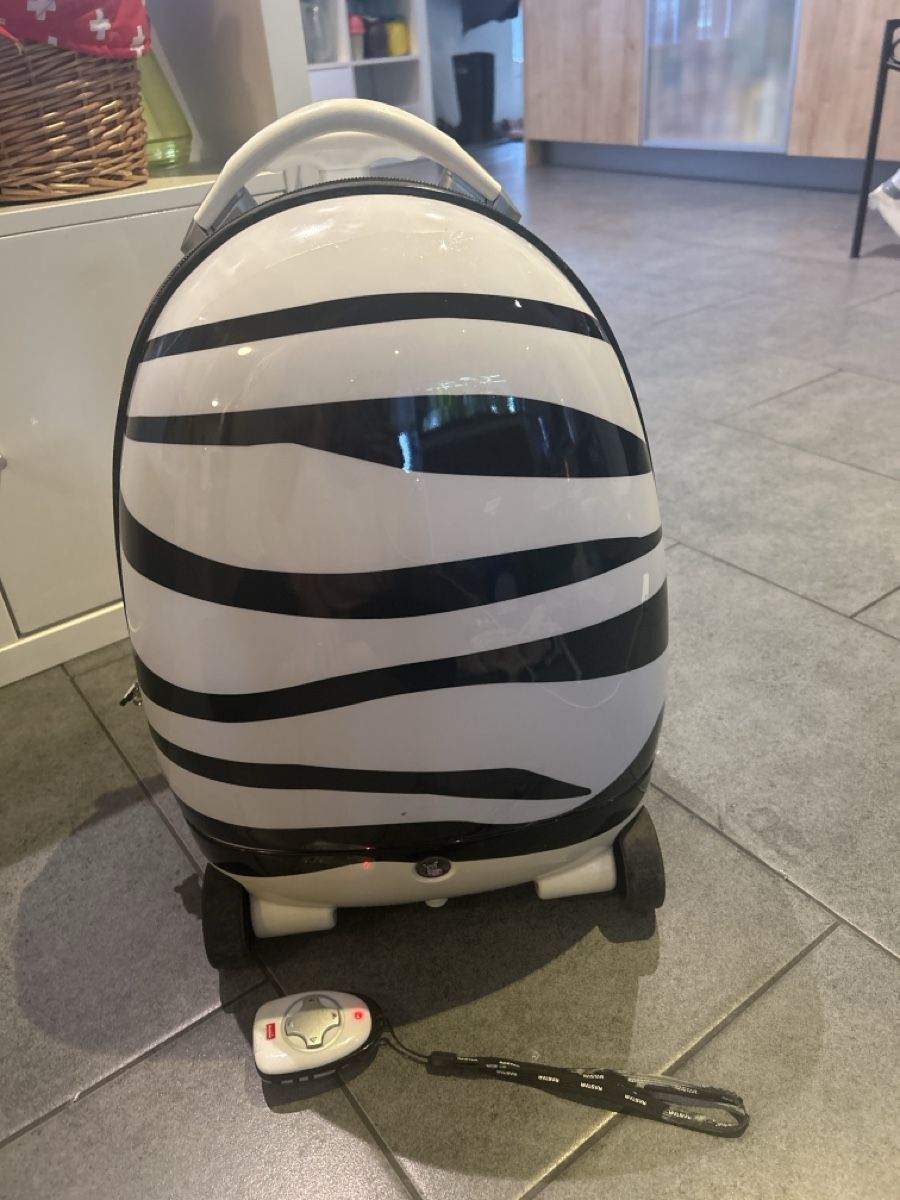 Reisekoffer: Rastăr Kinderkoffer Zebra – Gebraucht aus Mühledorf SO von Dania77