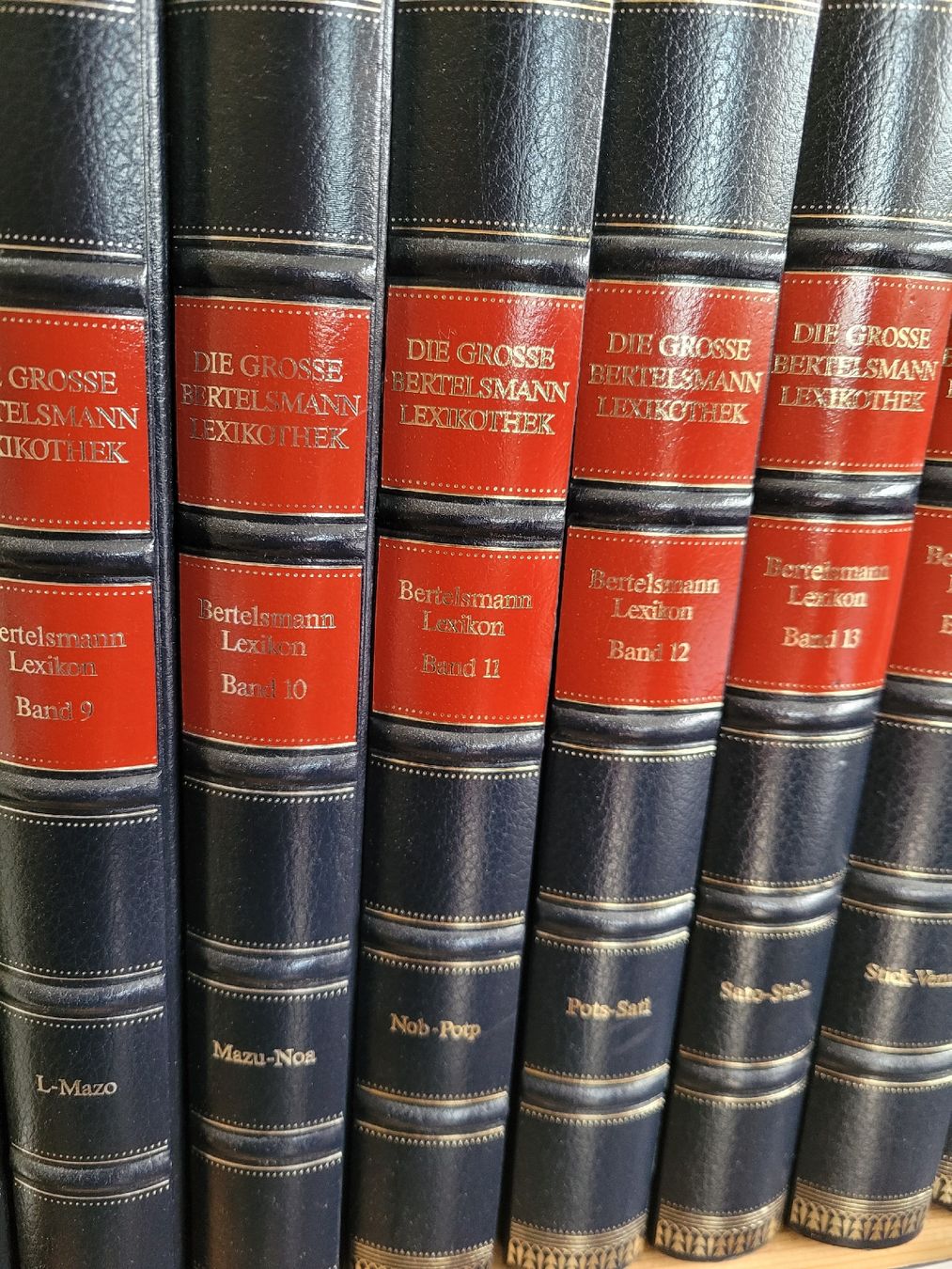 Libri: Bertelsmann Lexikon – Nuovo (secondo la descrizione) da Kaisten venduto da Tschigi87