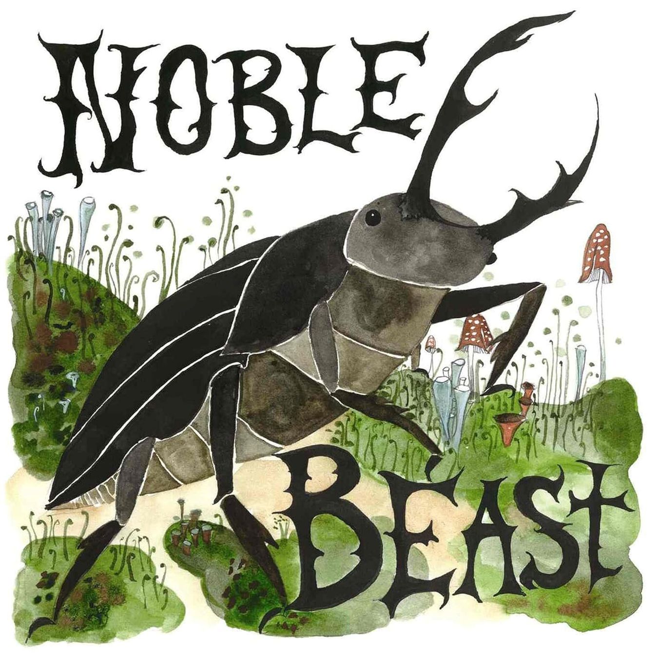 CDs: Andrew Bird - Noble Beast / Useless C (Deluxe, 2 CDs) Digip. – Gebraucht aus Uzwil von visions77