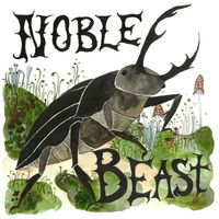 Andrew Bird - Noble Beast / Useless C (Deluxe, 2 CDs) Digip.