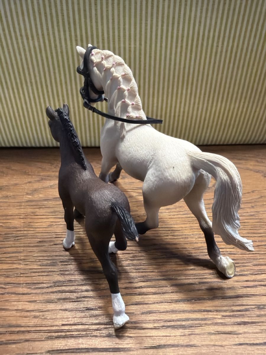 Schleich Giocattoli: Schleich Pferd mit Fohlen 4 – Usato da Auw venduto da grisu81 1