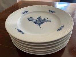 Speiseteller 25,5 cm Royal Copenhagen Blaue Blume Glatt 6 X