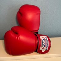Set Boxhandschuhe und Pratzen