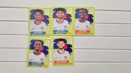 Panini FIFA WM 2026 Sticker USA 
