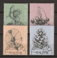 M1962 - Fruits d'arbres 1er jour