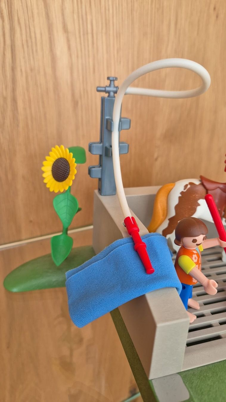 Playmobil Spielzeuge: Playmobil Pferde Wasch Station – Gebraucht aus Altendorf von egi83 2