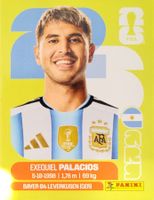Panini FIFA World Cup ARG 11