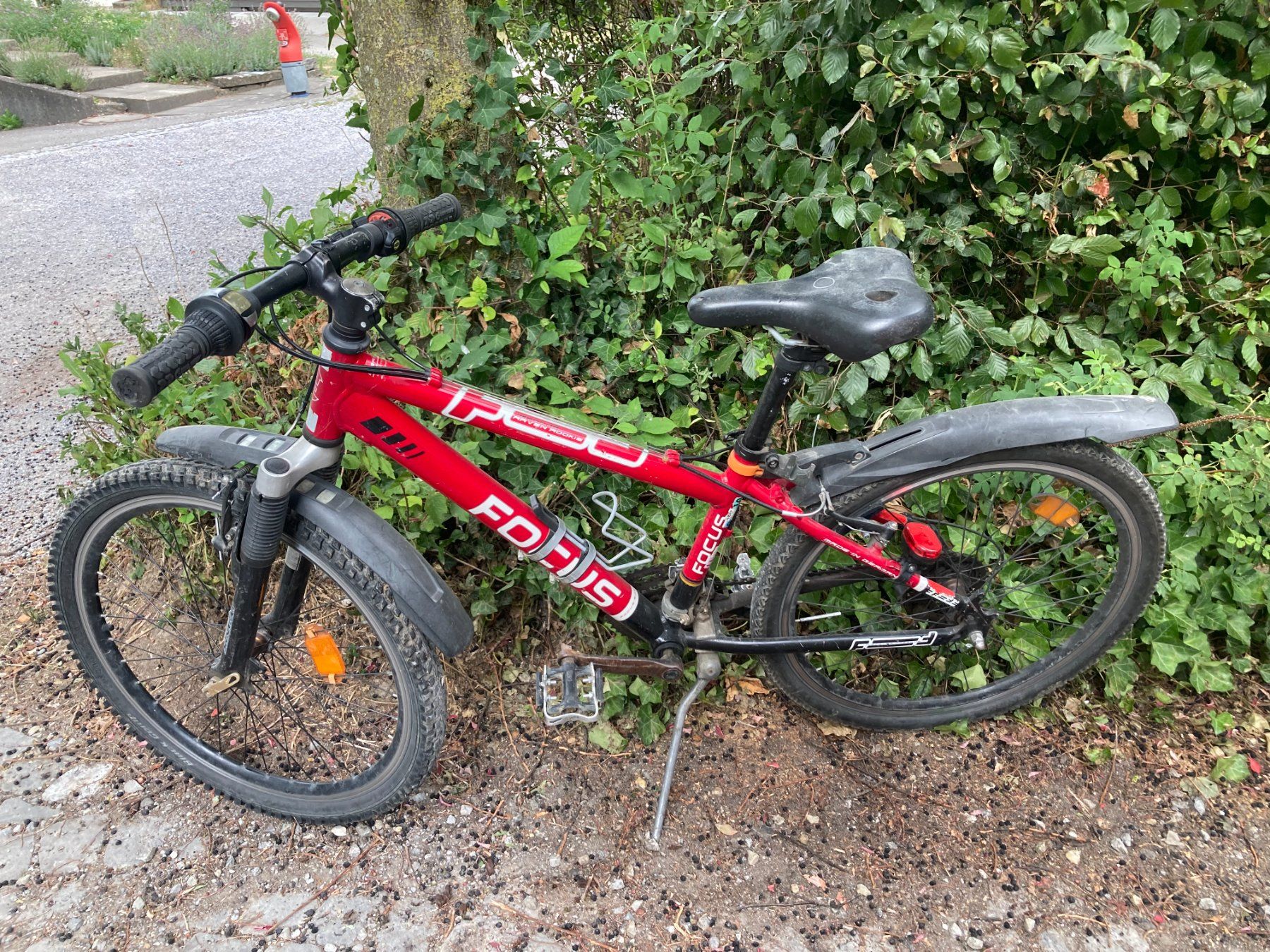 Focus Vélos: Kindervelo Focus – D'occasion à Kirchlindach par roland0101 4