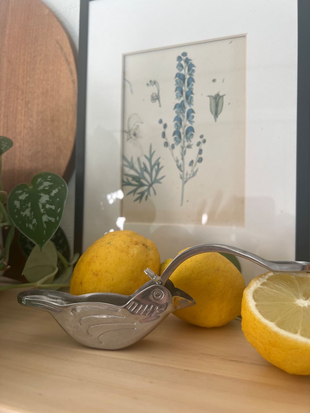 Tutte le decorazioni: Vintage lemon press – Usato da Zürich venduto da Zurich_TimeCapsule
