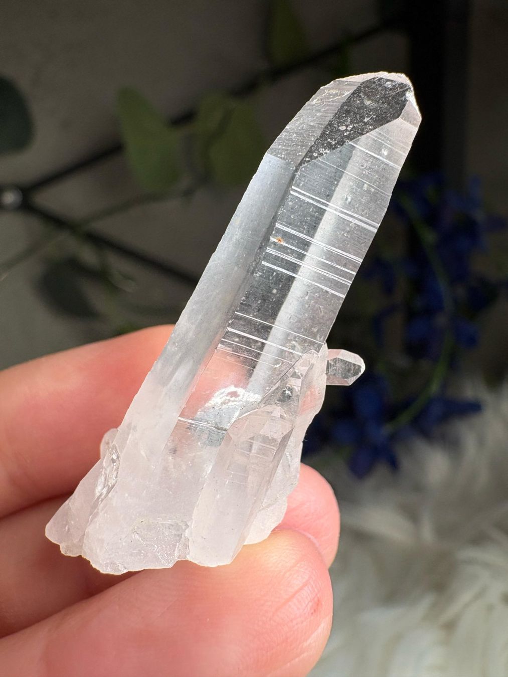 Minerali & Pietre curative: Kolumbianischer Lemurian-Quarz-Cluster – Nuovo (secondo la descrizione) da Neuheim venduto da m.hald 7