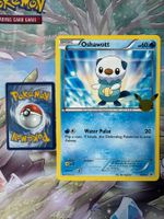 Pokémon TCG – Oshawott UNOVA First Partner Jumbo / Oversize