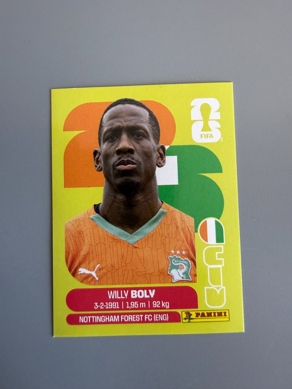 Panini Carte collezionabili: Panini Willy Boly CIV7 – Usato da Liebefeld venduto da Ronaldo-1996