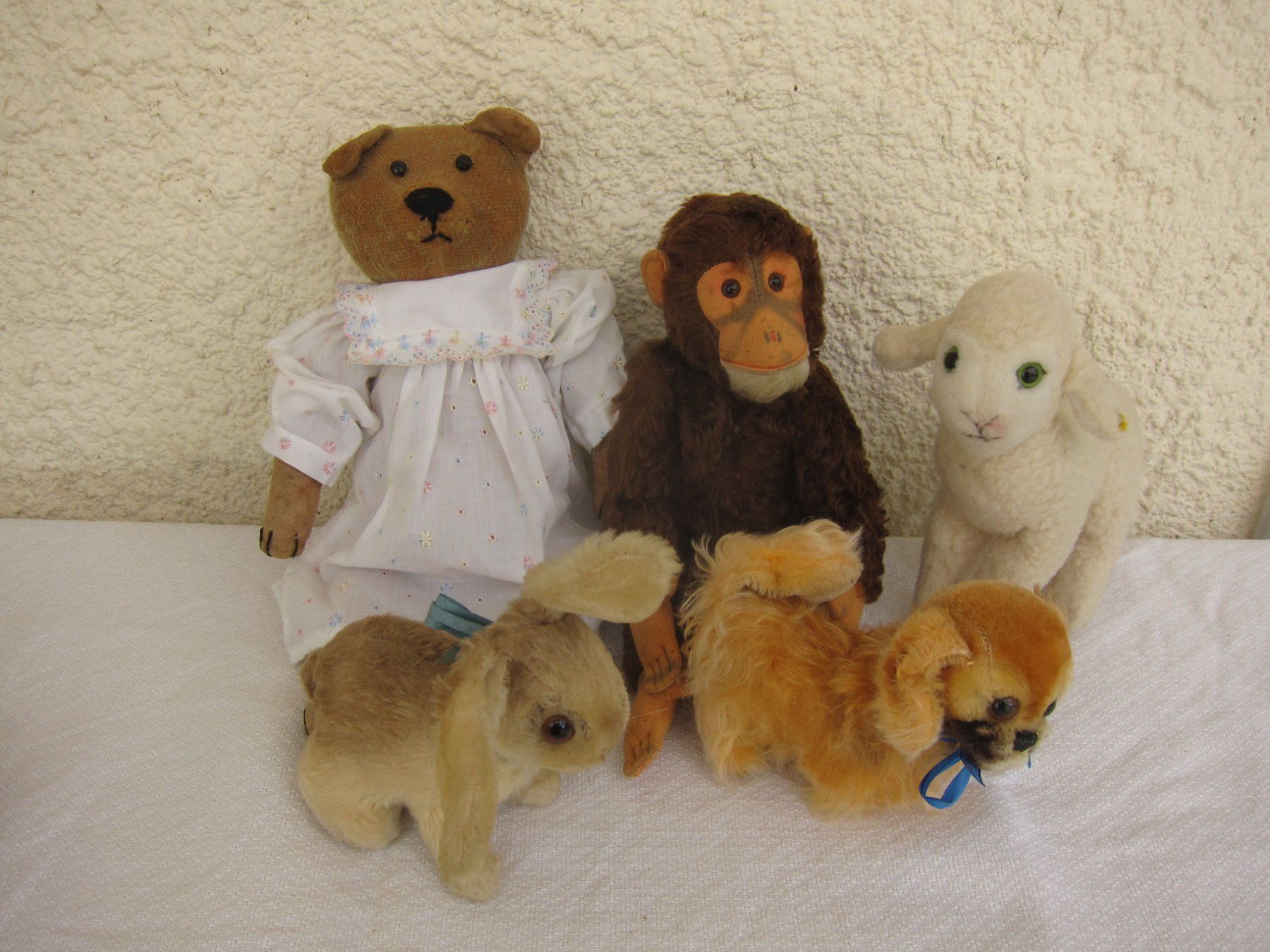 Giocattoli: Plüschtiere: Teddy, Affe, Lamm, Hase, Hund – Usato da Regensdorf venduto da Eri8057