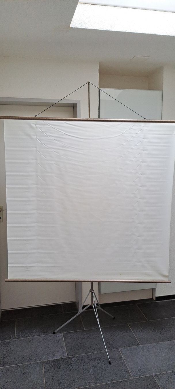 Altro in Decorazioni & Accessori: Leinwand mit 3- Fuss Stativ – Usato da Bubikon venduto da Tempelrider 1