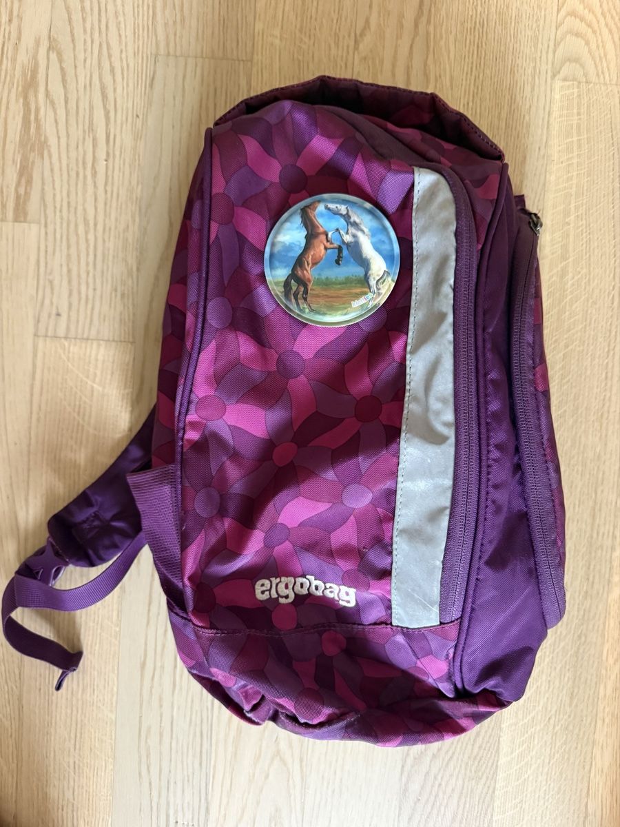 Ergobag Borse & Zaini: Ergobag Schulranzen-Set (Rucksack & Turnbeutel) – Usato da Hüttikon venduto da Mellie422 4