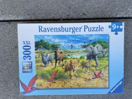 Puzzle 300 Teilig 
