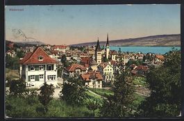AK Wädenswil, Teilansicht mit Bäumen