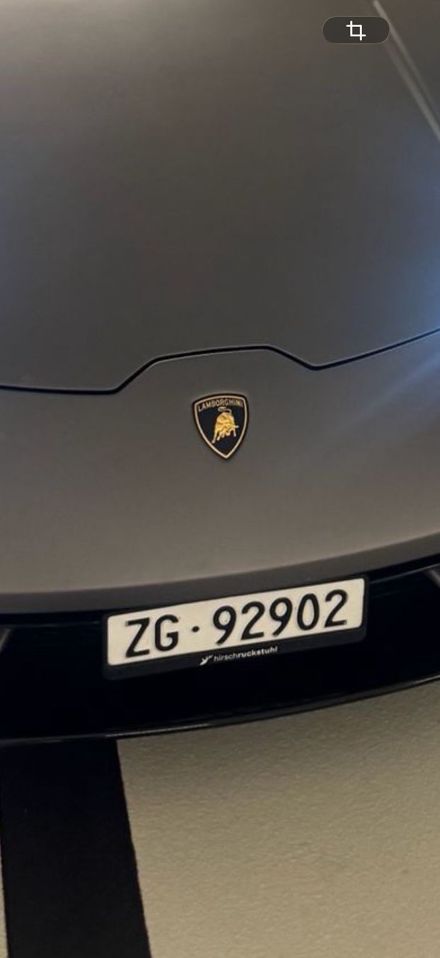 Insegne: ZG 92902 - Kontrollschild – Usato da altstätten venduto da techart 1