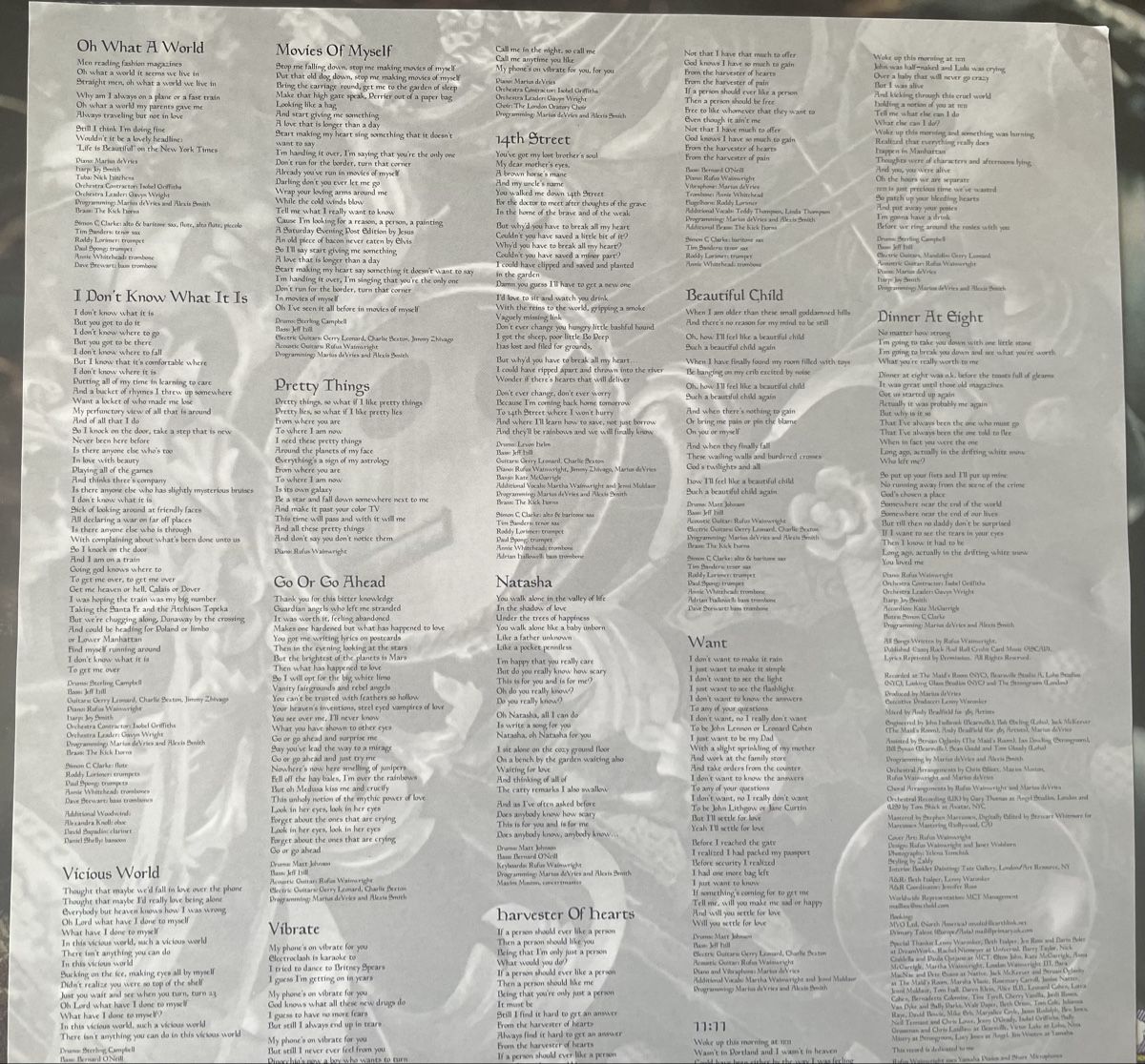 Dischi in vinile: Rufus Waibwright - Want One - Vinyl LP – Usato da Olten venduto da Bluespapst 3