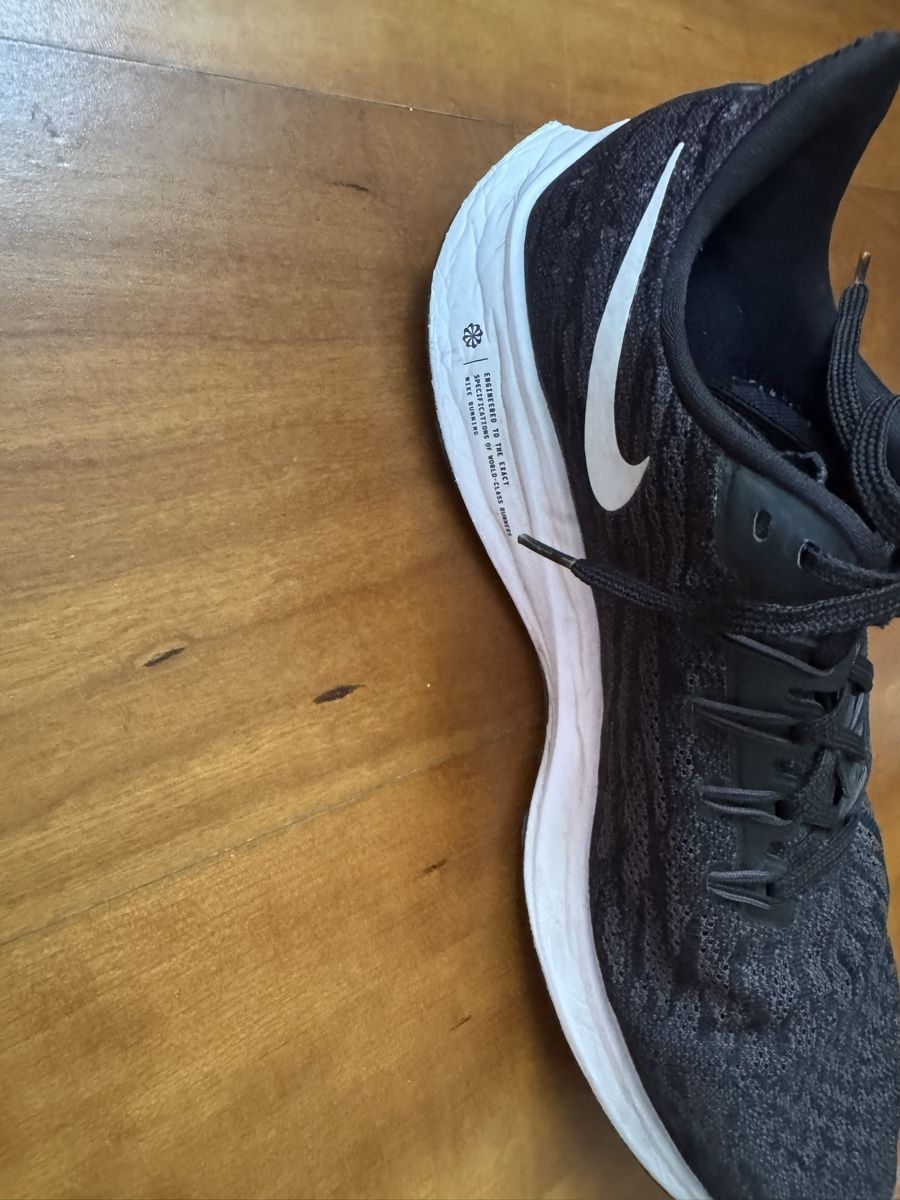 Nike Scarpe da uomo: Nike Pegasus Grösse 45 – Usato da Wettswil venduto da alstel24 4