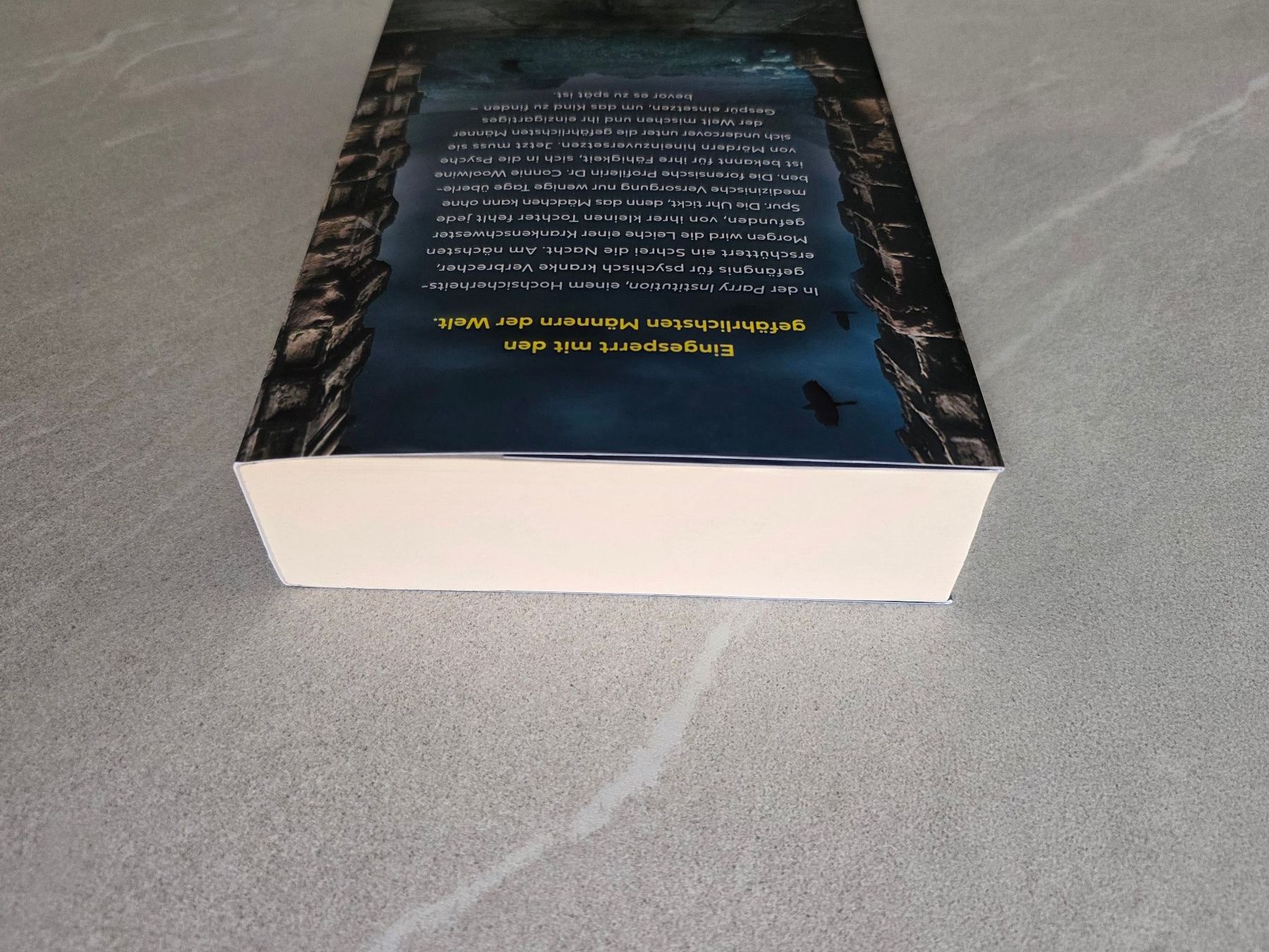 Libri: Helen Fields – THE INSTITUTION – Nuovo (secondo la descrizione) da Kaiseraugst venduto da Haubitz60 3