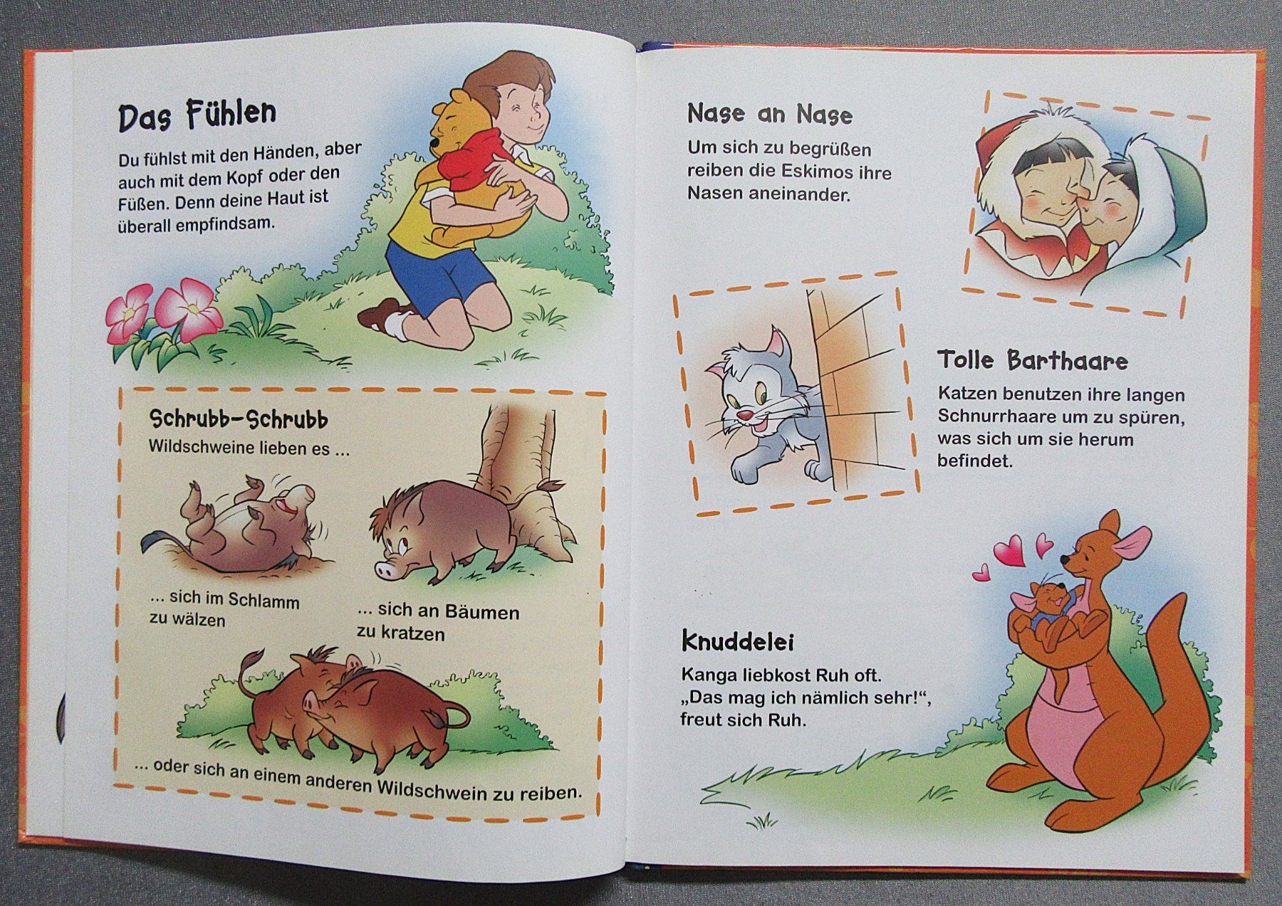 Libri: Winnie Puuh - Entdecke die 5 Sinne – Usato da Auenstein venduto da Padabimbim 4