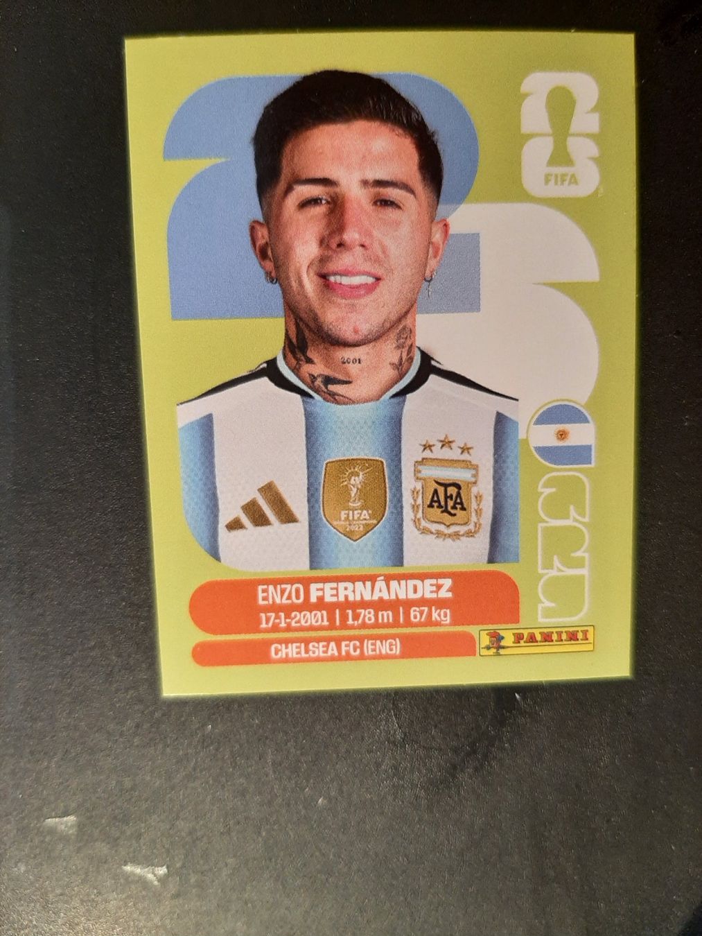 Panini Carte collezionabili: Panini 2026 ARG8 – Nuovo (secondo la descrizione) da Leuk-Stadt venduto da Meic