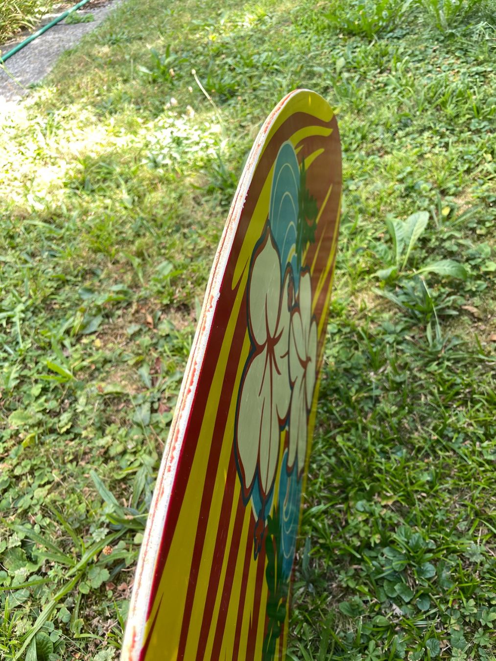 Planches de surf: Skimboard – D'occasion à Zürich par Singen11 2