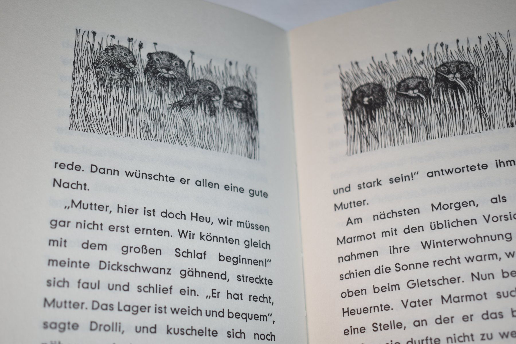 Libri: "Pfeif Murmeli pfeif" von Mischa Damjan – Usato da Speicher venduto da Indigoblau_3 3