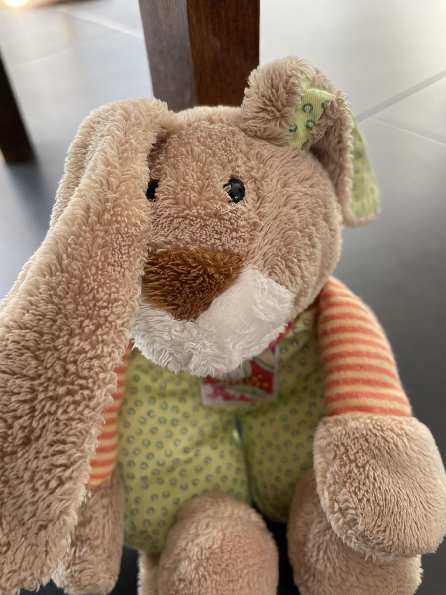 Sigikid Giocattoli: Sigikid Kuscheltier Hase – Usato da Aarau Rohr venduto da foodlover 2