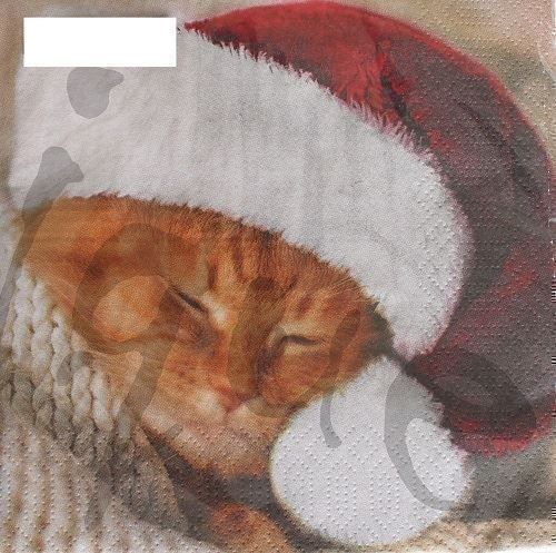 Tovaglioli: Serviette cute cat (1352) 2Stk. – Nuovo (secondo la descrizione) da Schlatt TG venduto da kreativ-atelier
