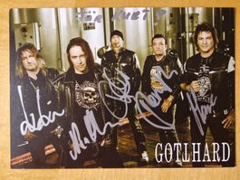Gotthard, 5 Original Autogramme auf Karte in Farbe