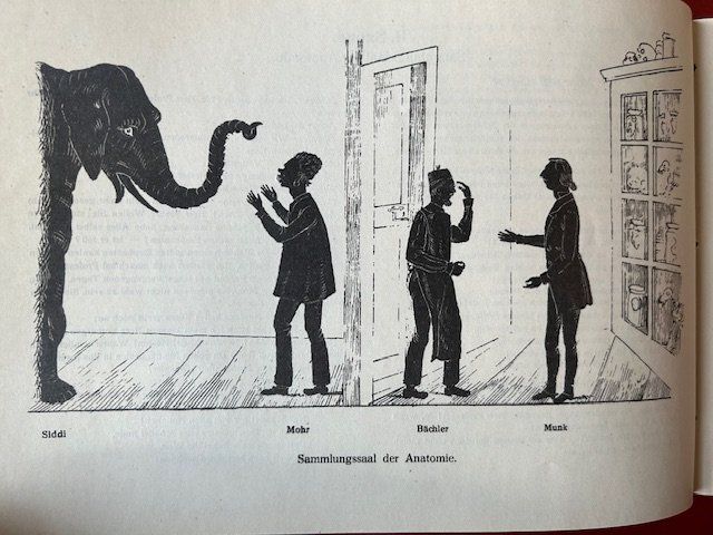 Der Mohr von Bern, G.A. Lücke 1868, A.C. Klebs 1931 r a r (Gebraucht ...