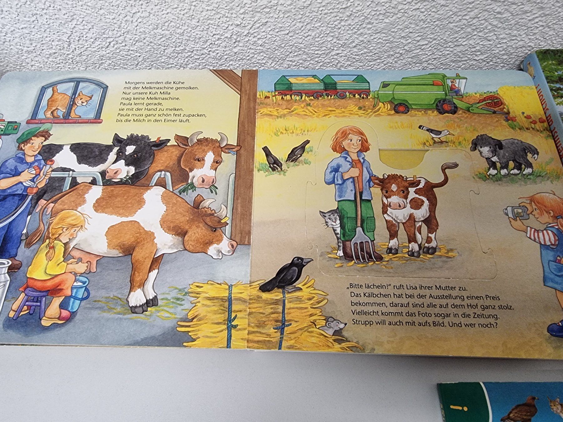 Libri: Kinderbücher  Bücher  5 Stk. – Usato da Hinwil venduto da Fransim 1
