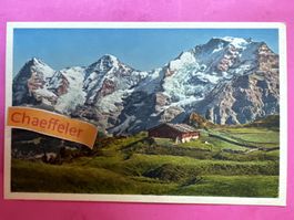 A 5858 Oberberg bei Mürren. Eiger-Mönch-Jungfrau