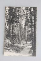 AK Düersrütti - Tannen im Emmenthal