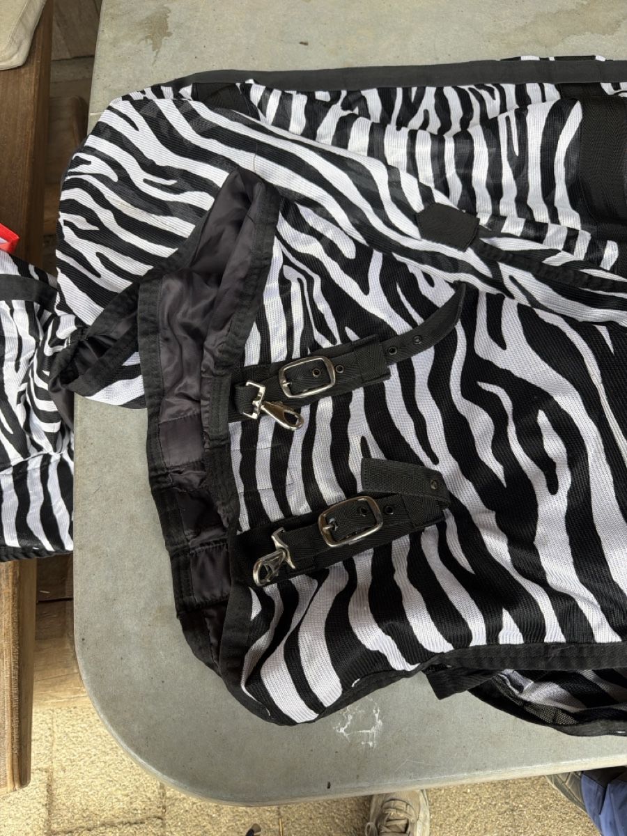 Coperte & Accessori: Pferdedecke Zebra Muster Grösse 155 gebraucht – Usato da Zofingen venduto da roki_ch