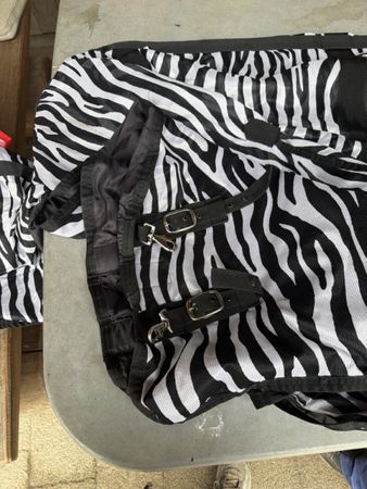 Pferdedecke Zebra Muster Grösse 155 145 gebraucht