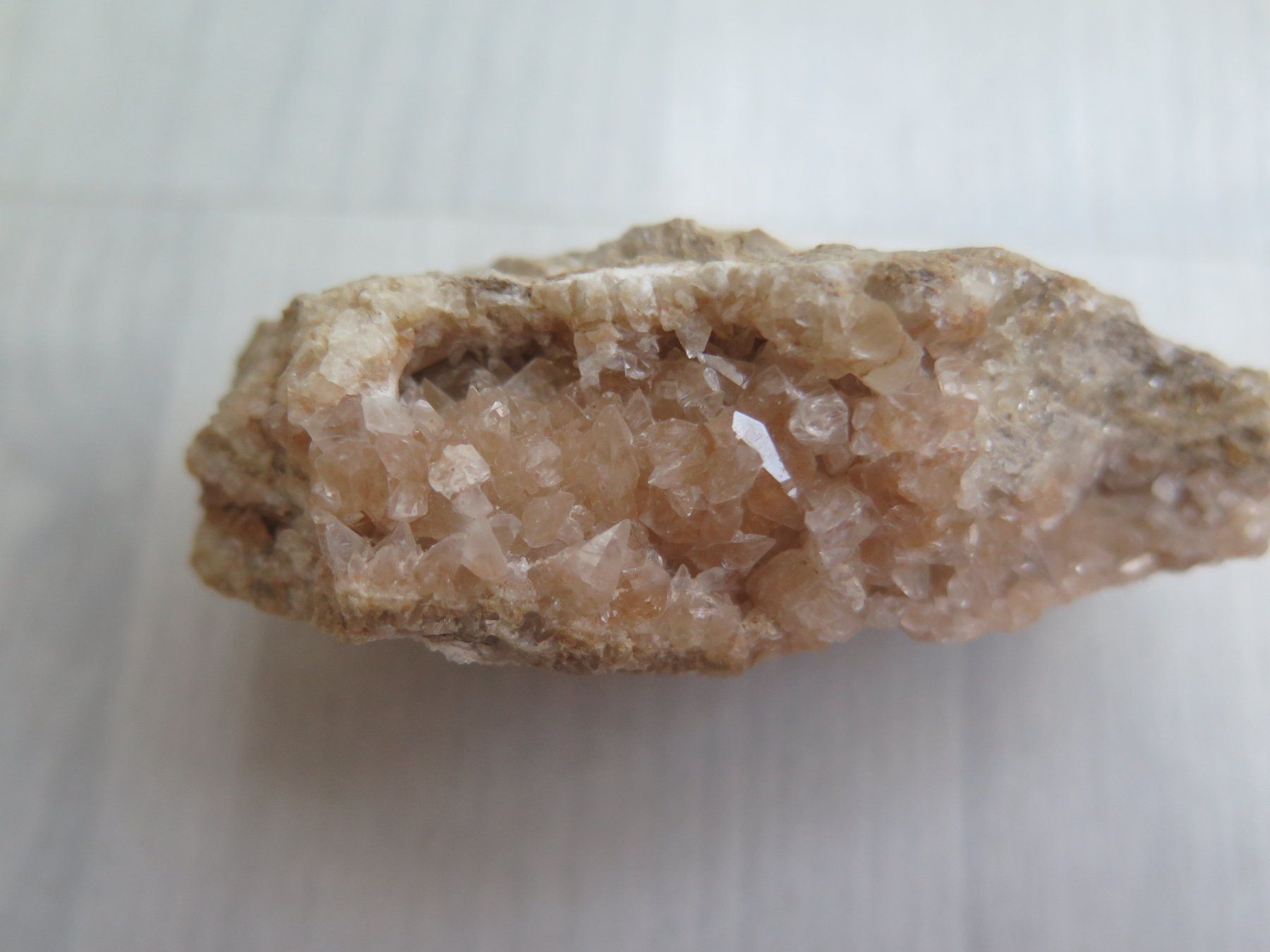 Minéraux & Lithothérapie: Fossil und eine Calcit Stufe – D'occasion à Schaffhausen par Yamakana51L8736OQ8 4