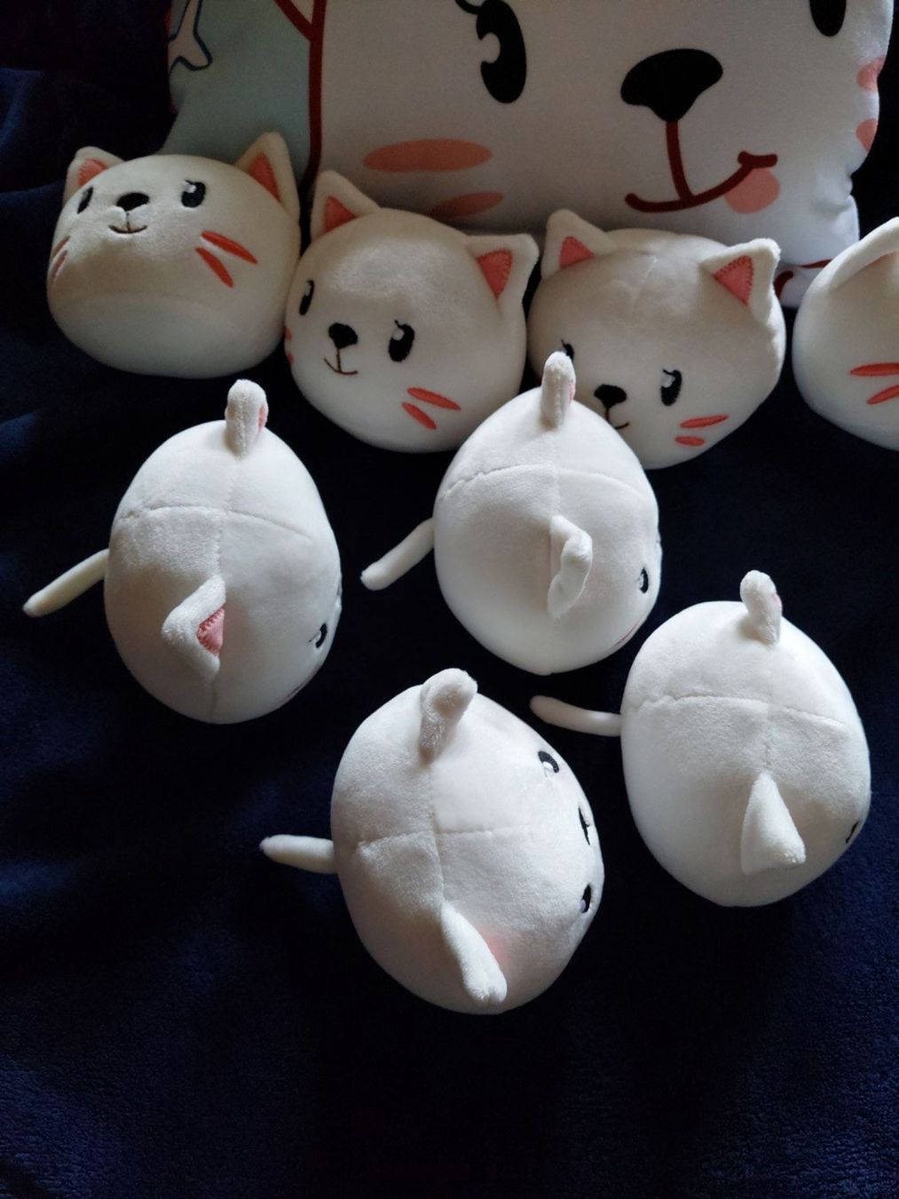 Cuscini: Coussin "Cat Pudding" neuf – Nuovo e nell'imballaggio originale da Tramelan venduto da Belleza82 1