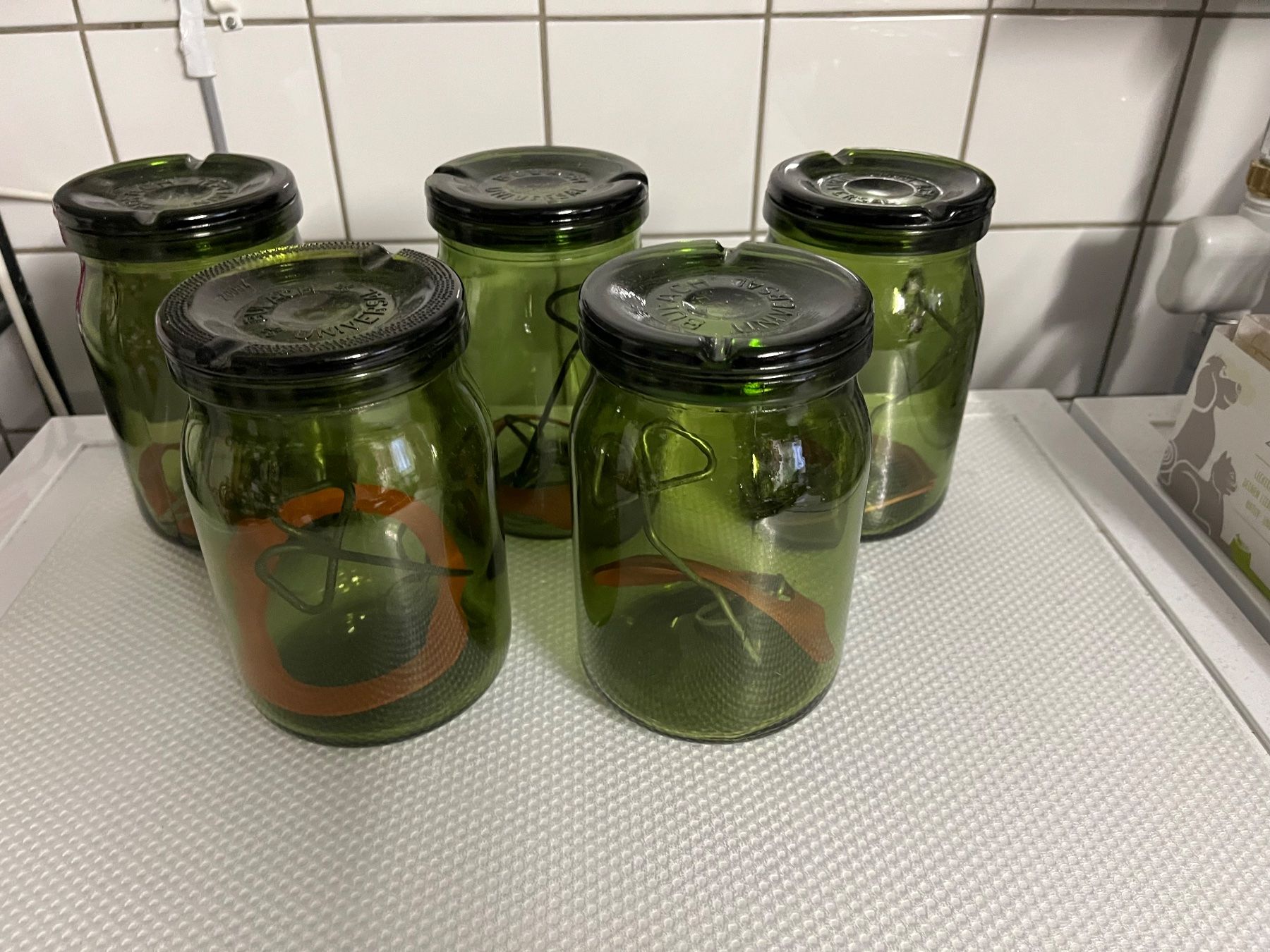 Bülacher Contenitori & Simili: 5 Bülach Weckgläser Einmachgläser Fermentiergläser Gläser – Usato da Frauenfeld venduto da Babytimmy 2