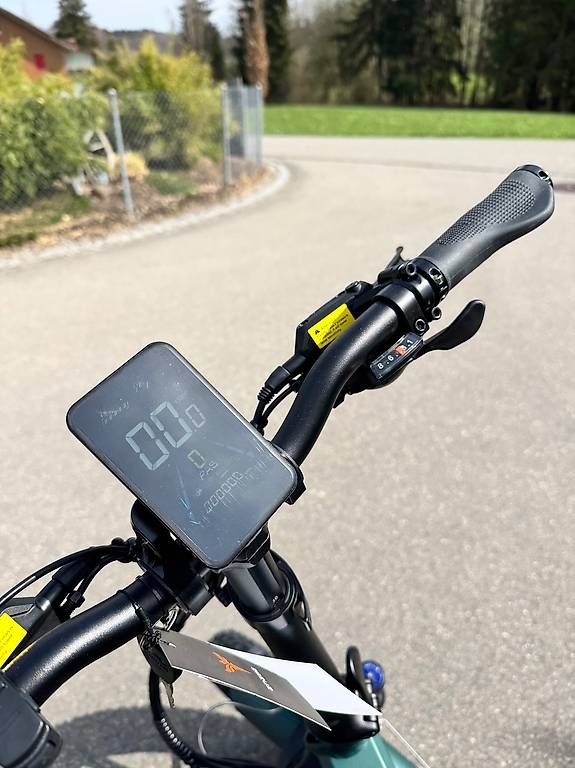 Velos: Engwe Pro 2.0 E-Bike 25km/h – Gebraucht aus Schönholzerswilen von mortentorten 1