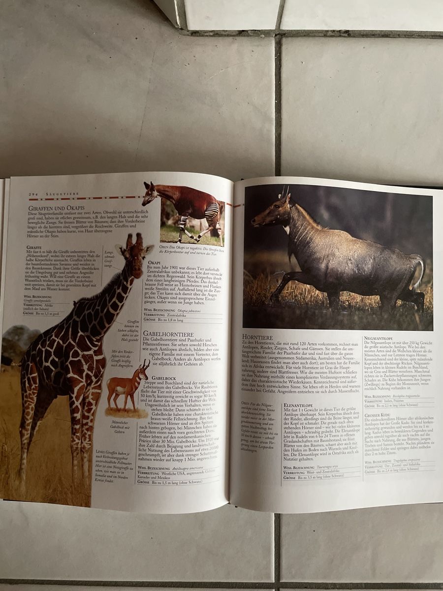 Libri: Faszination Tierwelt - Einzigartige Tierfotografien – Usato da Kaiseraugst venduto da KlausSina 8